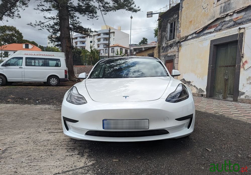 2021' Tesla Model 3 photo #3