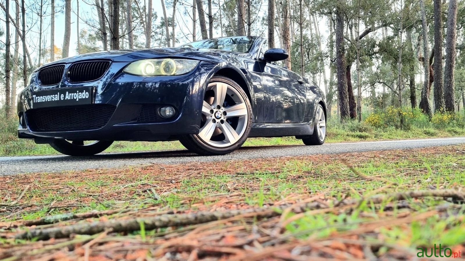 2007' BMW 320 photo #2