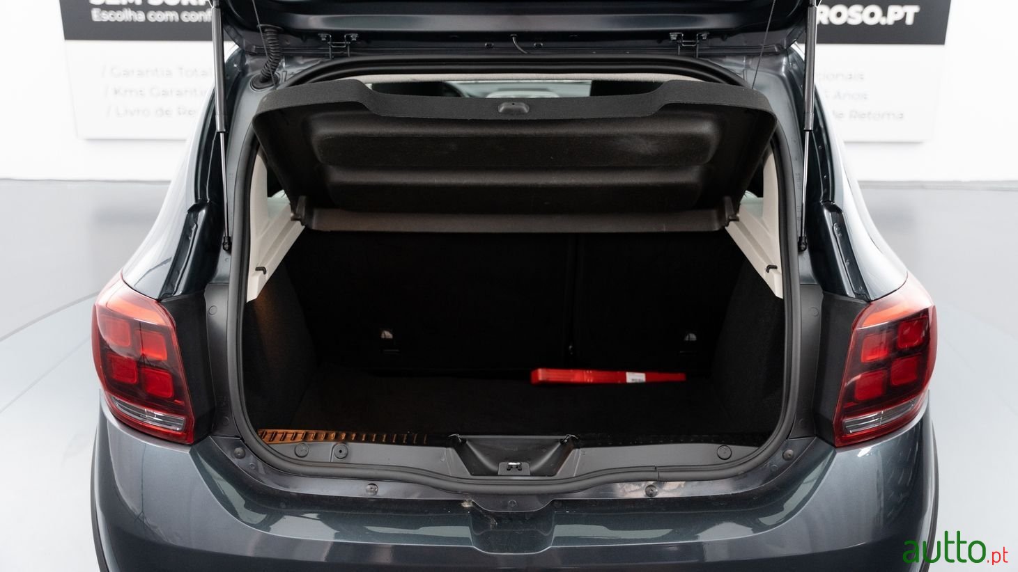 2020' Dacia Sandero photo #4