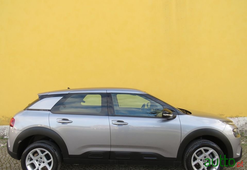 2019' Citroen C4 Cactus photo #5