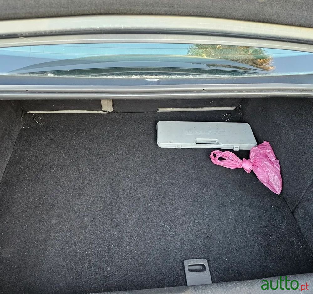 2005' Peugeot 407 1.6 Hdi Executive photo #1