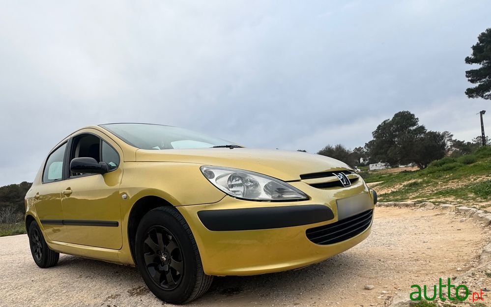 2002' Peugeot 307 photo #1