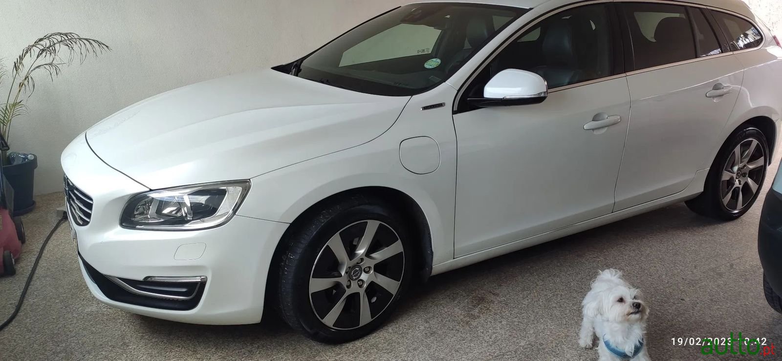 2013' Volvo V60 photo #1