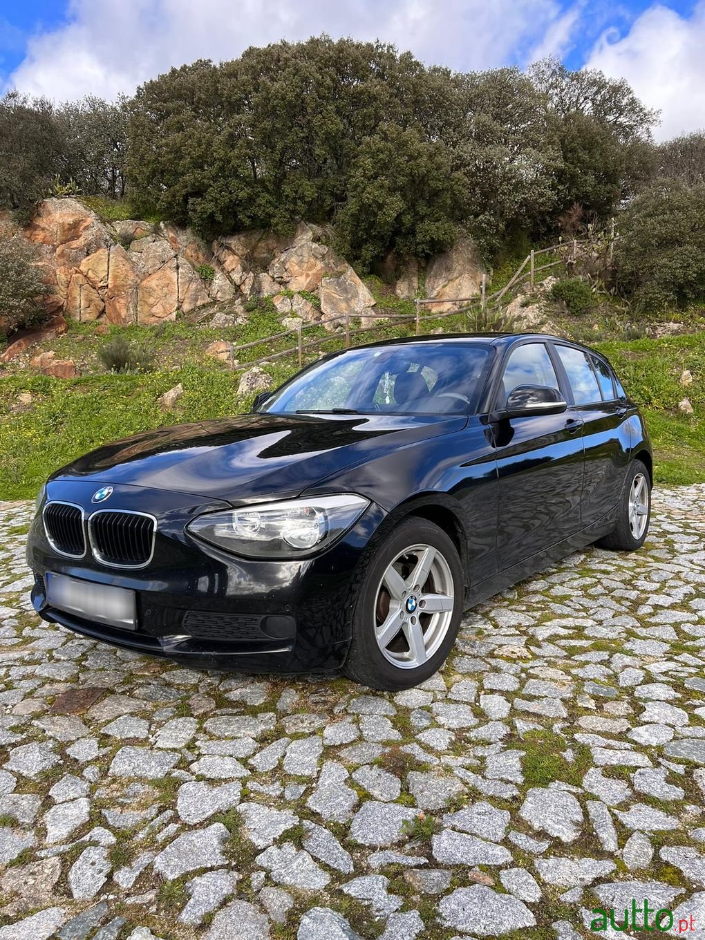 2015' BMW 116 photo #3