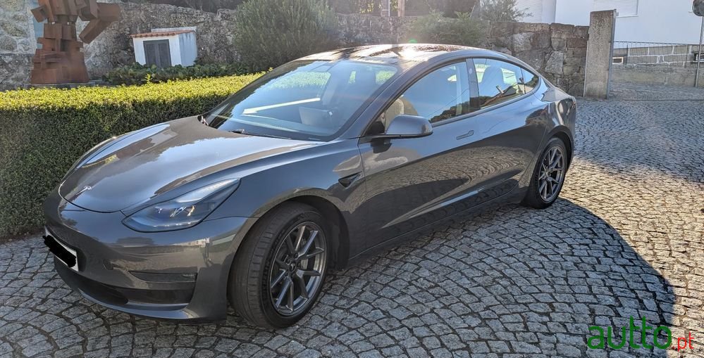 2021' Tesla Model 3 photo #2