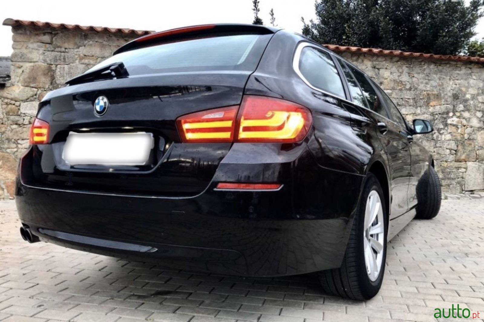 2011' BMW 520 photo #2