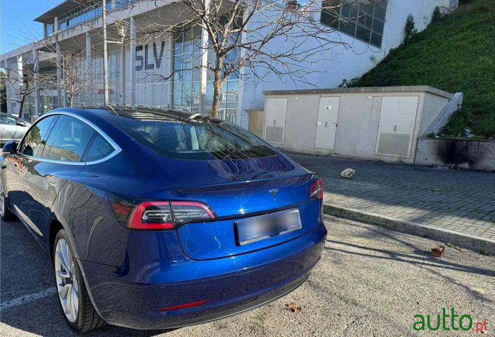 2020' Tesla Model 3 photo #3