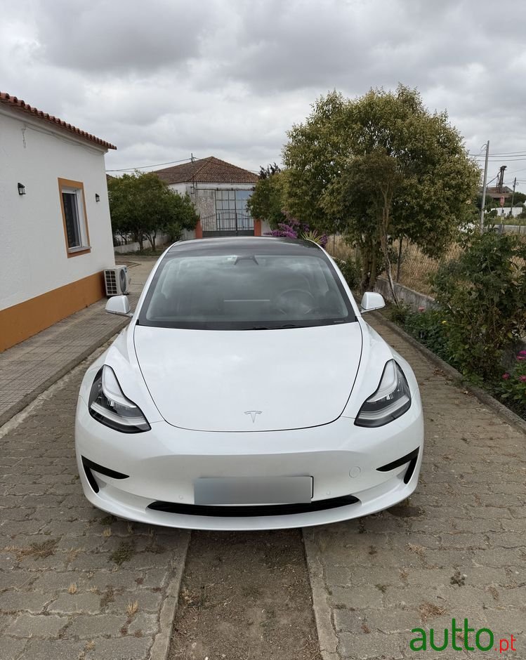 2020' Tesla Model 3 photo #1