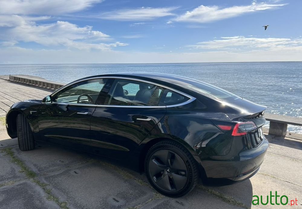 2020' Tesla Model 3 photo #3