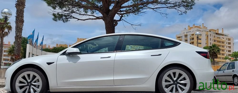 2021' Tesla Model 3 photo #2