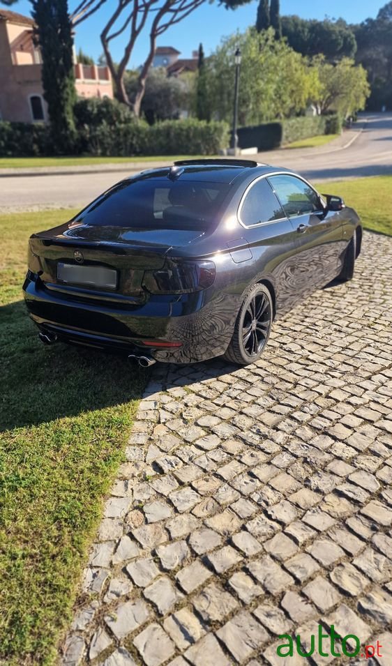 2014' BMW 220 photo #2