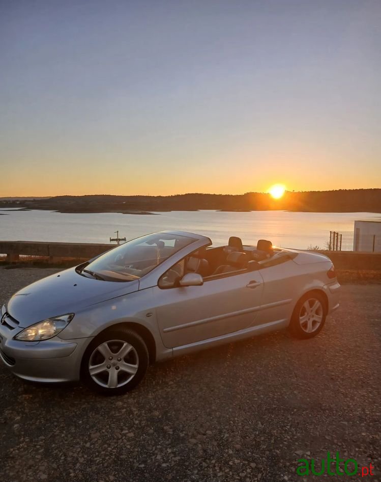 2005' Peugeot 307 1.6 Dynamique photo #6