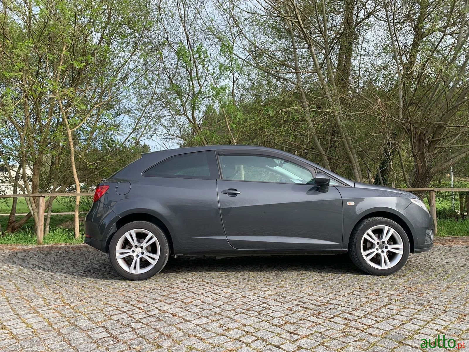 2009' SEAT Ibiza photo #3