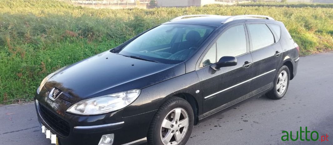 2007' Peugeot 407 Sw photo #1