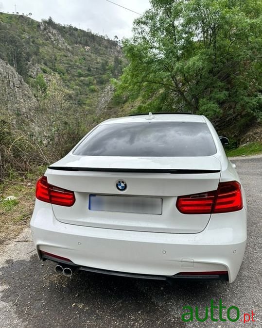 2013' BMW 318 photo #2