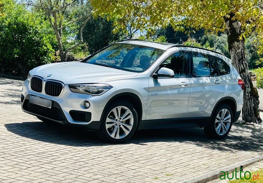 2017' BMW X1 Sport Auto photo #1
