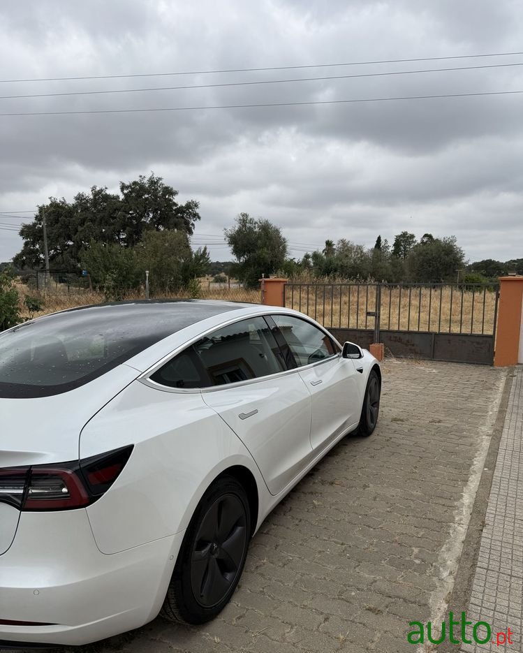 2020' Tesla Model 3 photo #4