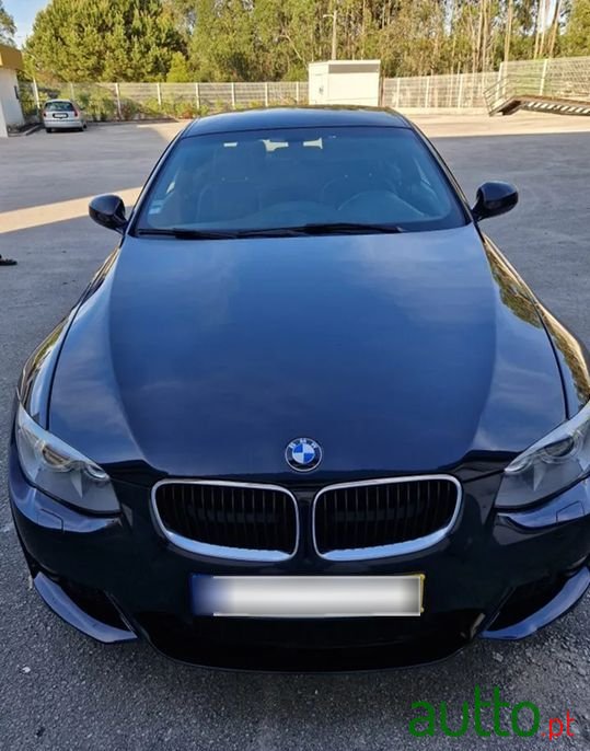 2011' BMW 320 photo #2