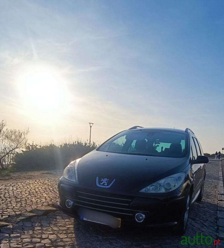 2008' Peugeot 307 Sw photo #2