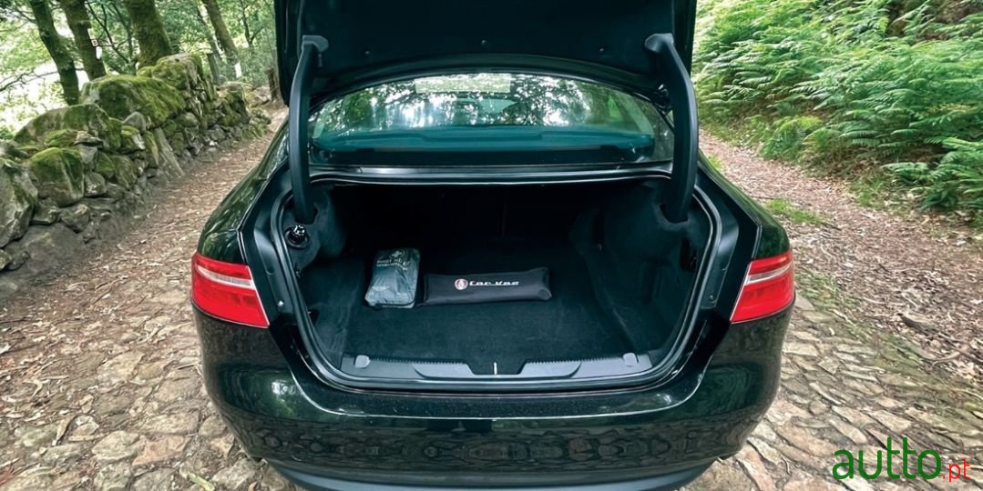 2015' Jaguar Xe photo #2