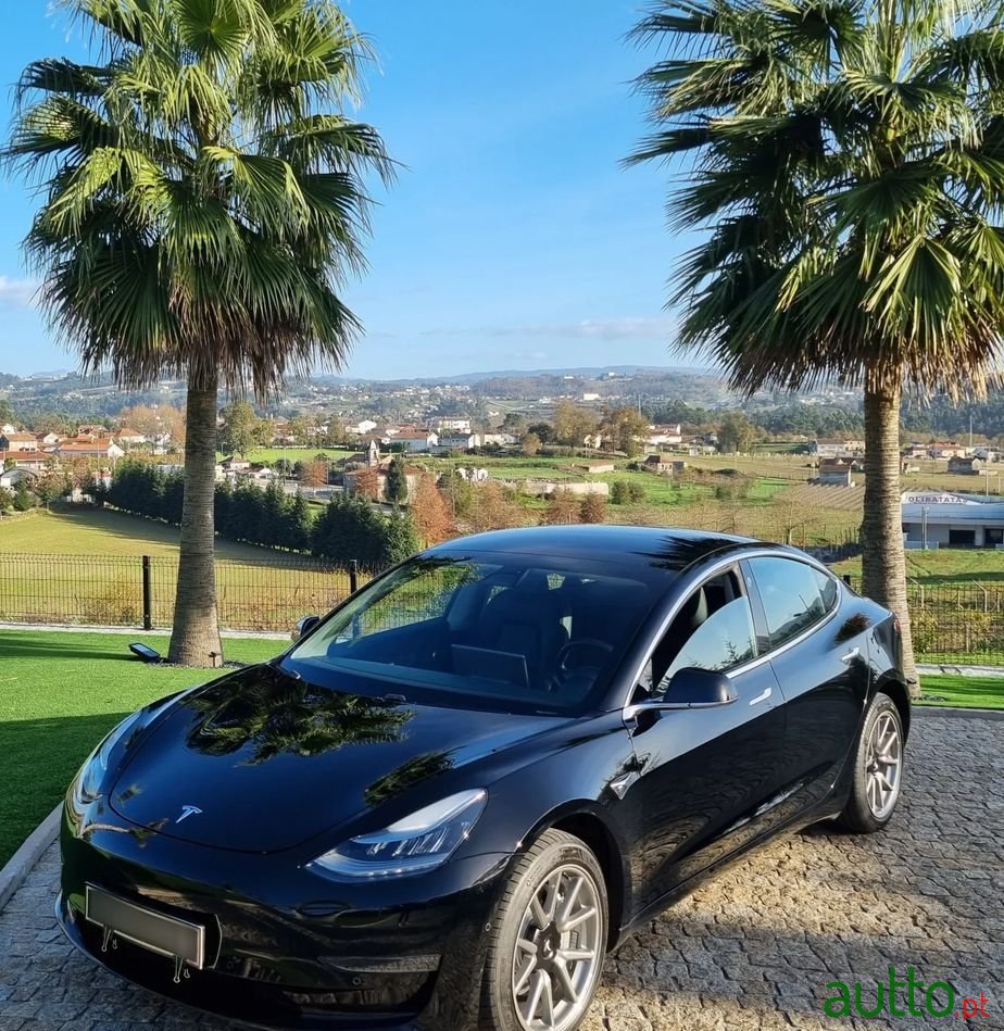 2019' Tesla Model 3 photo #3