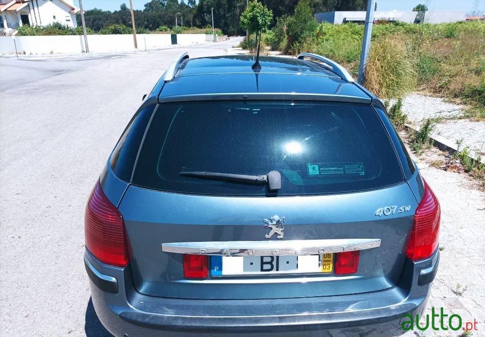 2006' Peugeot 407 Sw photo #5