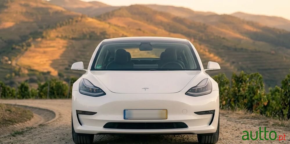 2019' Tesla Model 3 photo #6