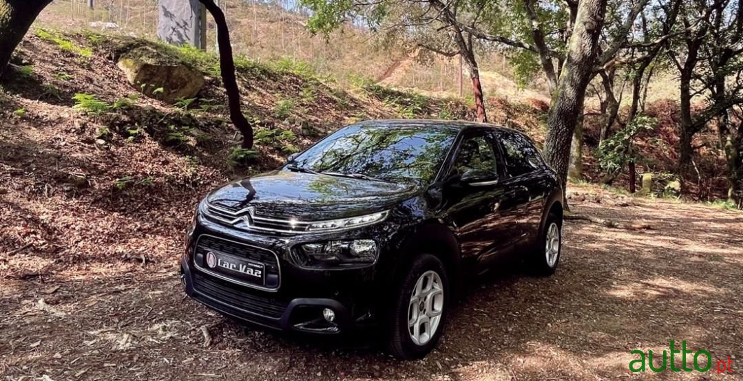 2018' Citroen C4 Cactus photo #1