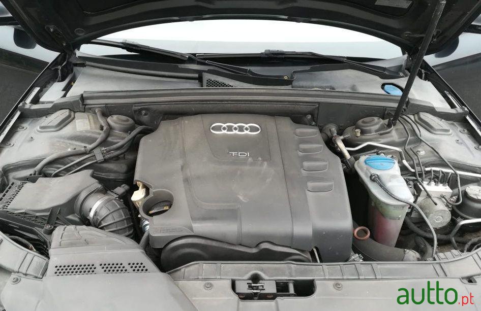 2008' Audi A4 photo #1