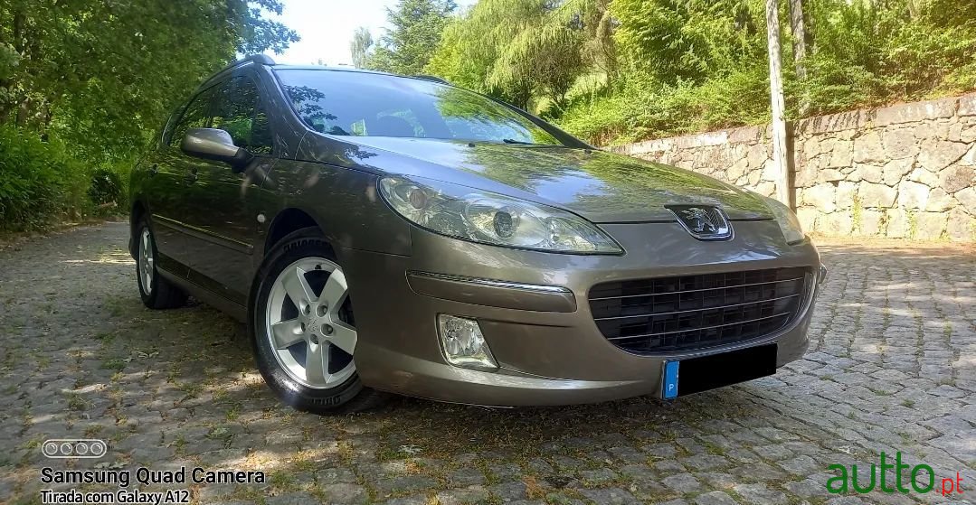 2007' Peugeot 407 Sw photo #4