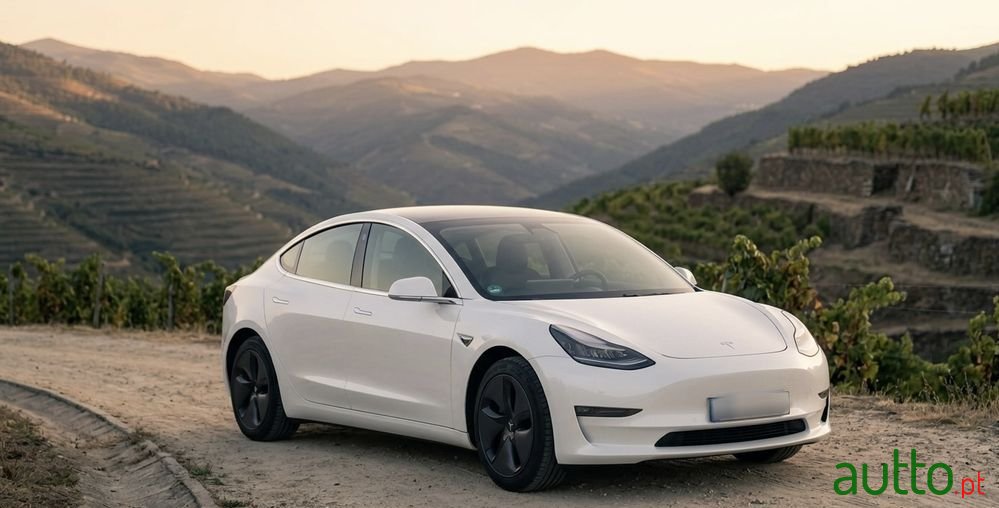 2019' Tesla Model 3 photo #1