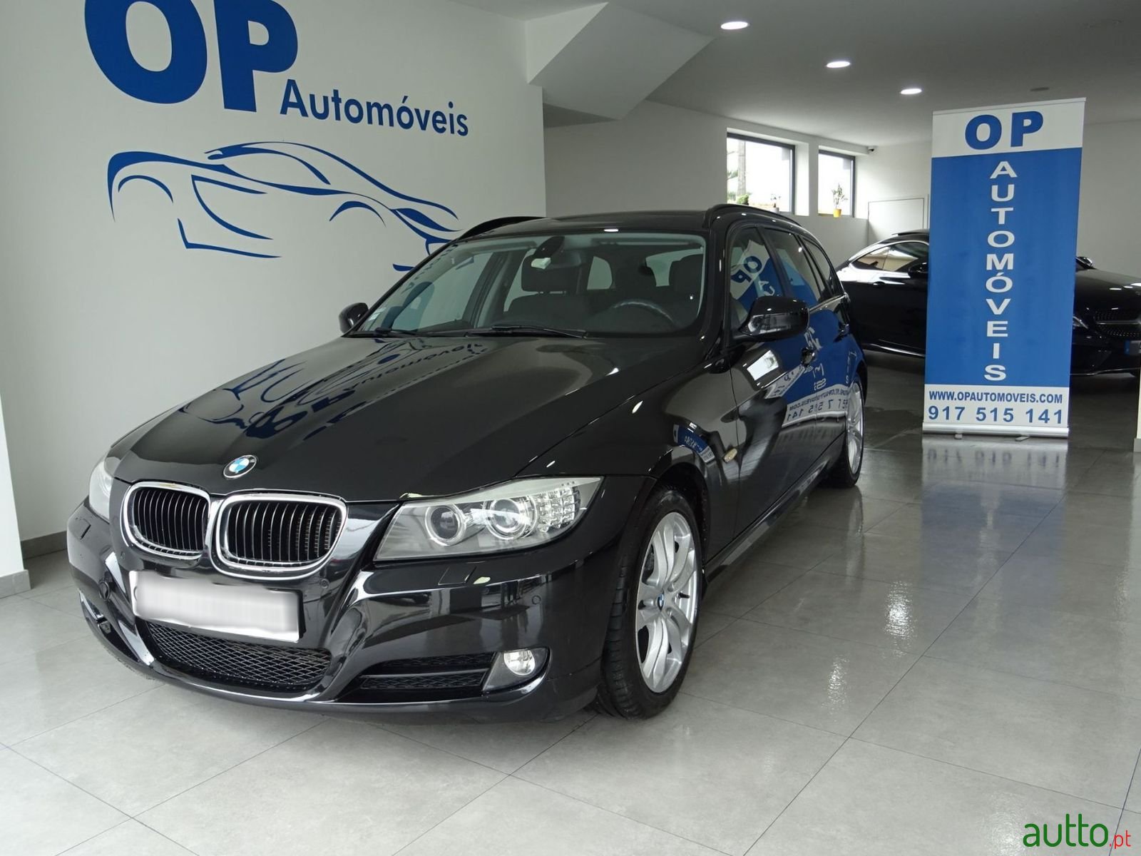 2011' BMW 318 photo #2