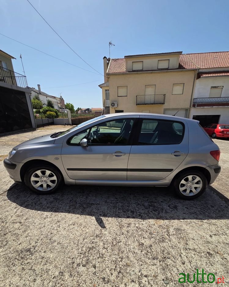 2002' Peugeot 307 1.4 Hdi Xs photo #1