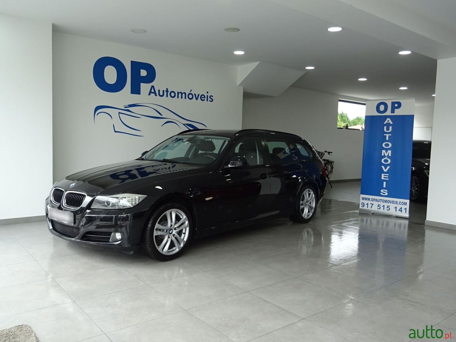 2011' BMW 318 photo #1