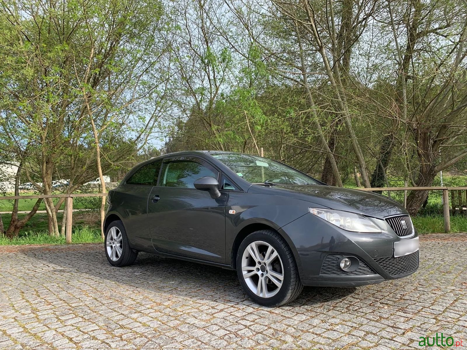 2009' SEAT Ibiza photo #1