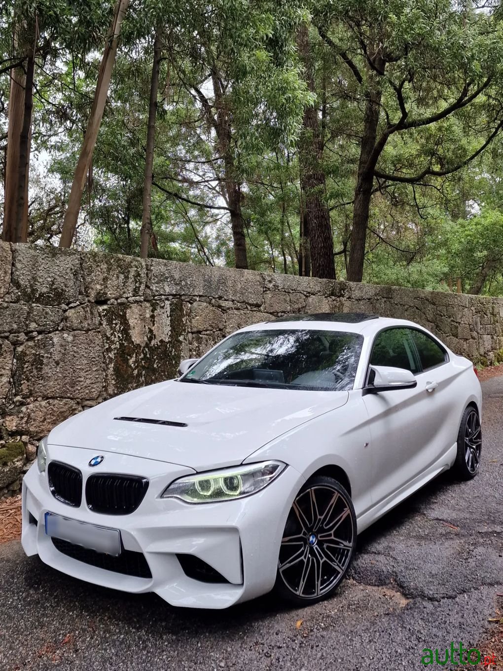 2015' BMW 220 photo #3