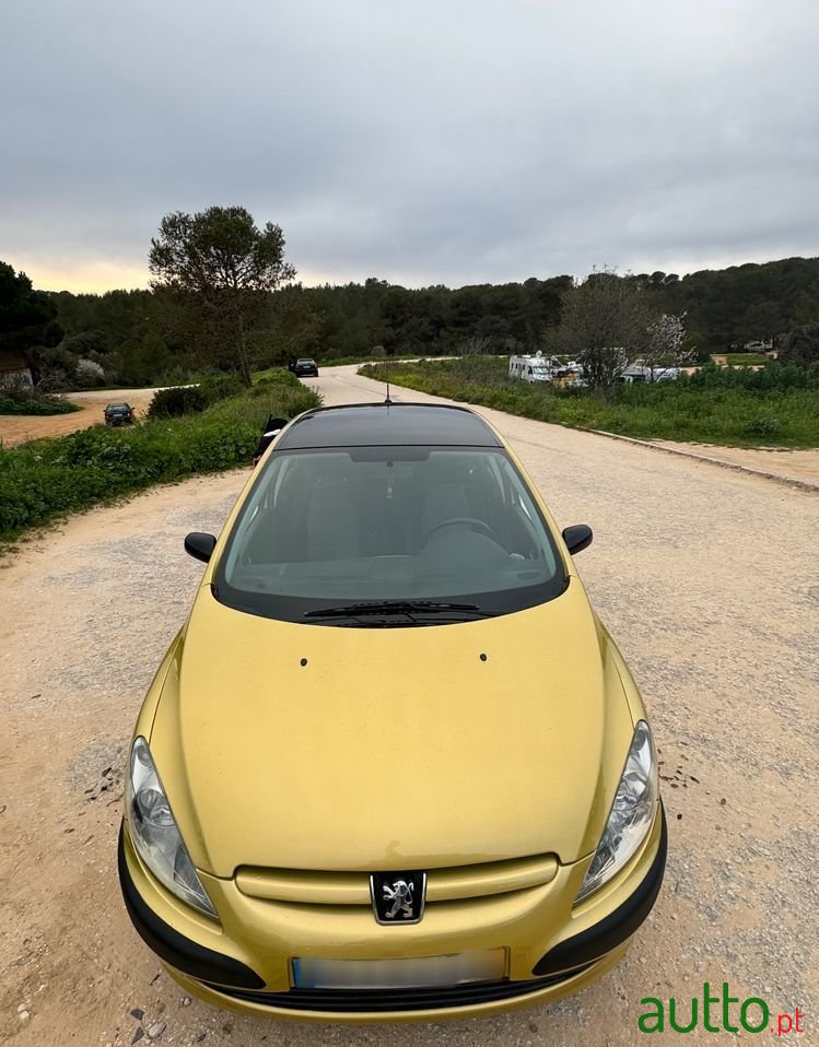 2002' Peugeot 307 photo #6