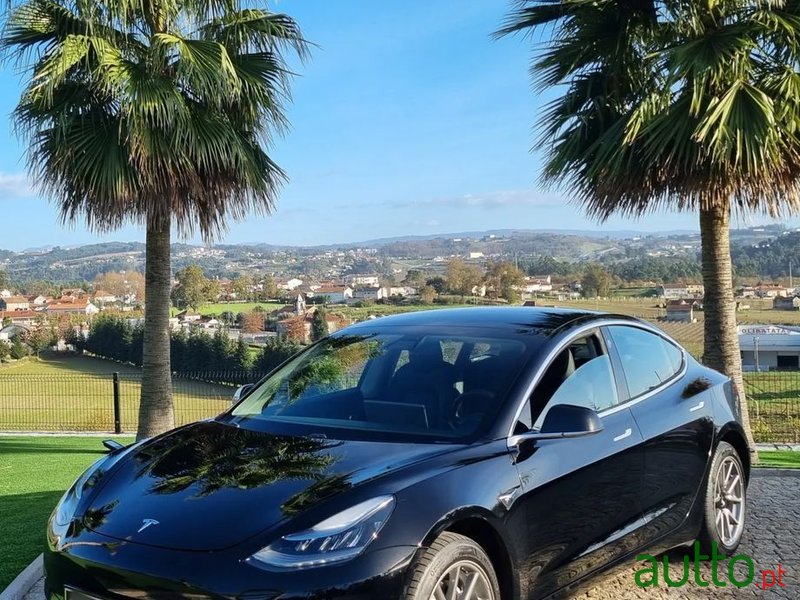 2019' Tesla Model 3 photo #1