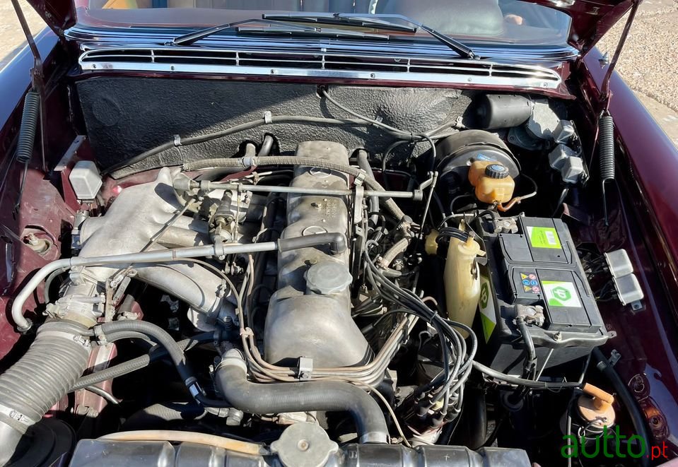 1967' Mercedes-Benz 250 photo #2
