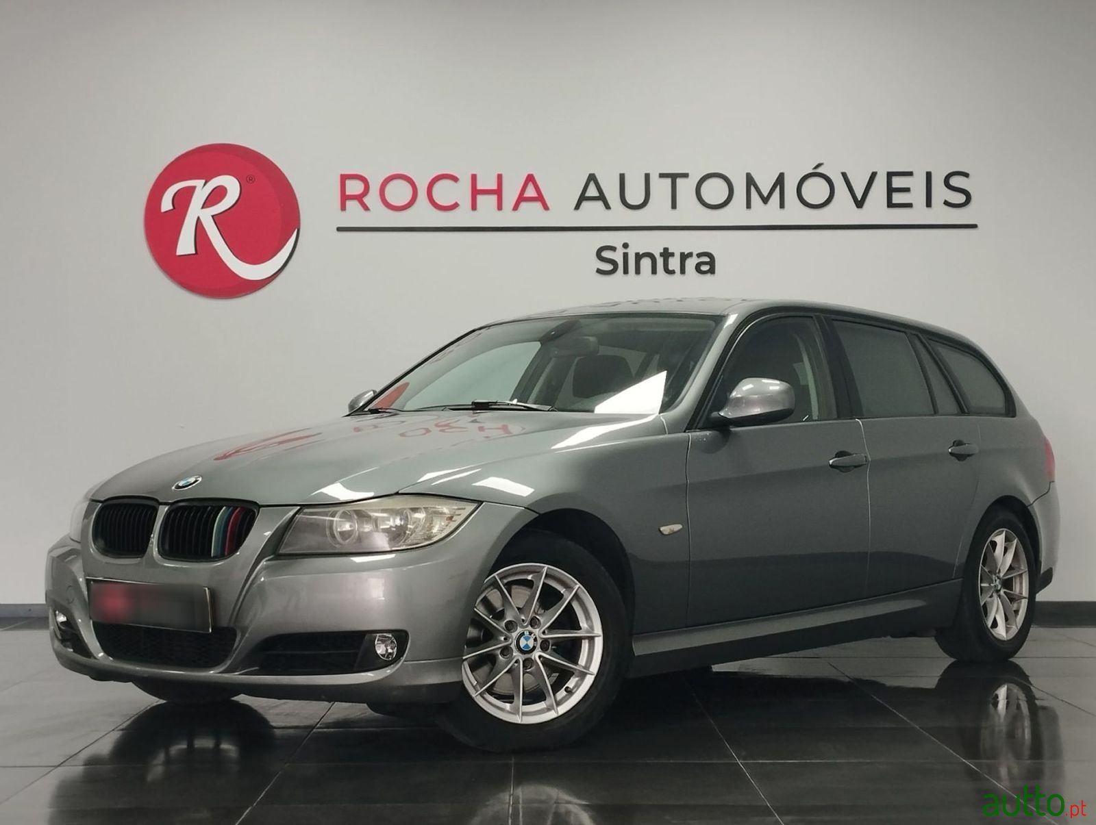 2012' BMW 318 photo #1