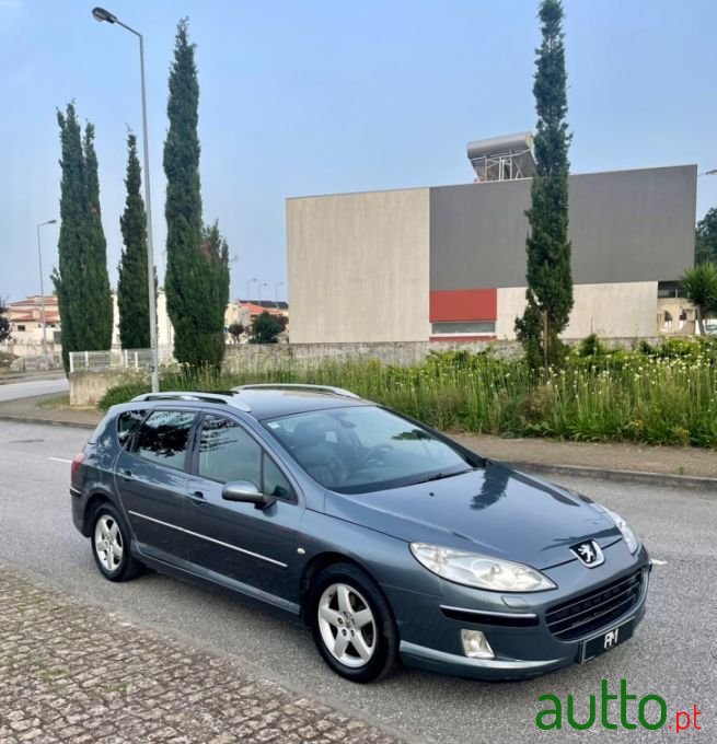 2007' Peugeot 407 Sw photo #1