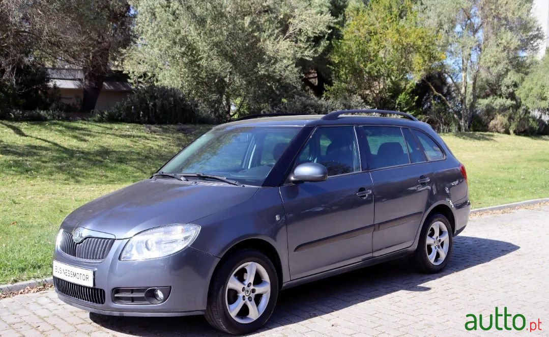 2010' Skoda Fabia Break photo #1