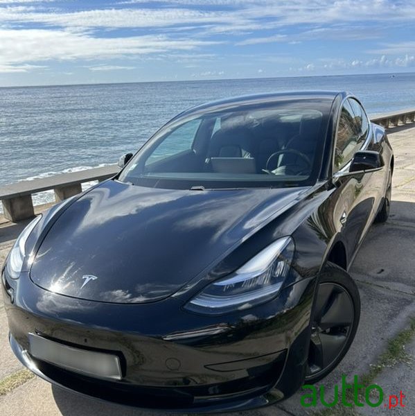 2020' Tesla Model 3 photo #1