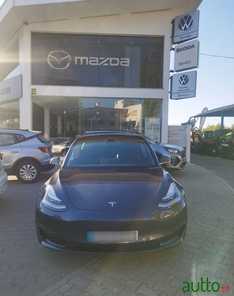 2019' Tesla Model 3 photo #1