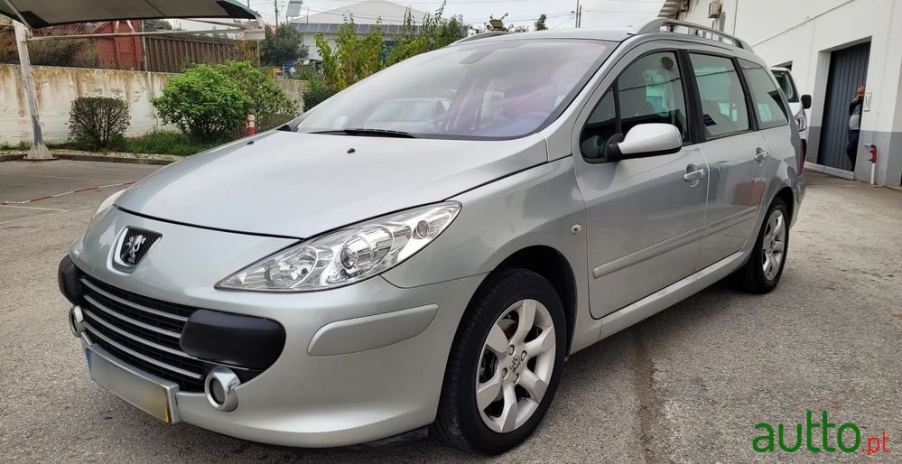 2007' Peugeot 307 Sw photo #1