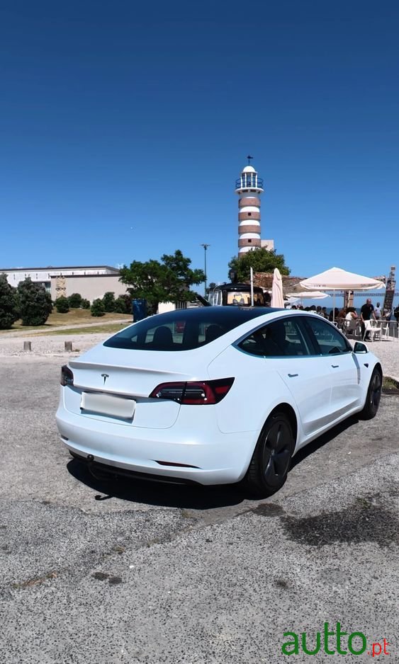 2020' Tesla Model 3 photo #3