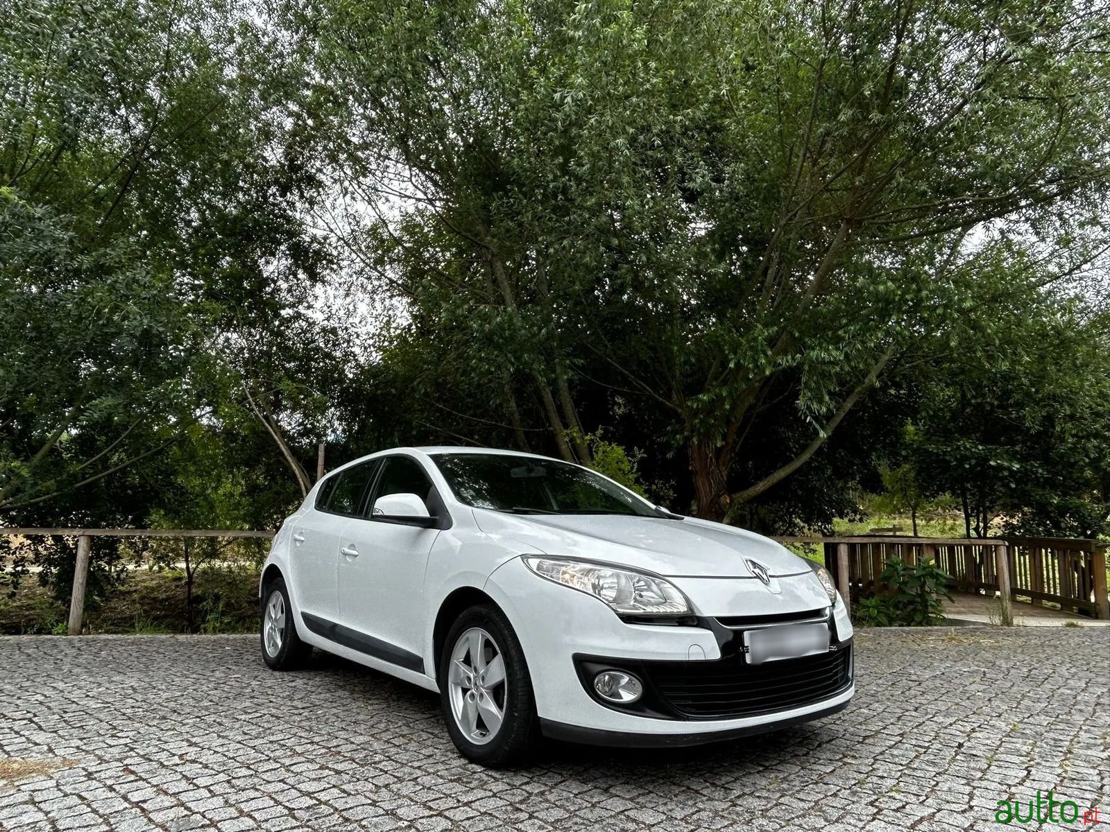2013' Renault Megane photo #1