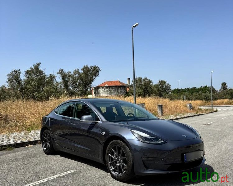 2019' Tesla Model 3 photo #1