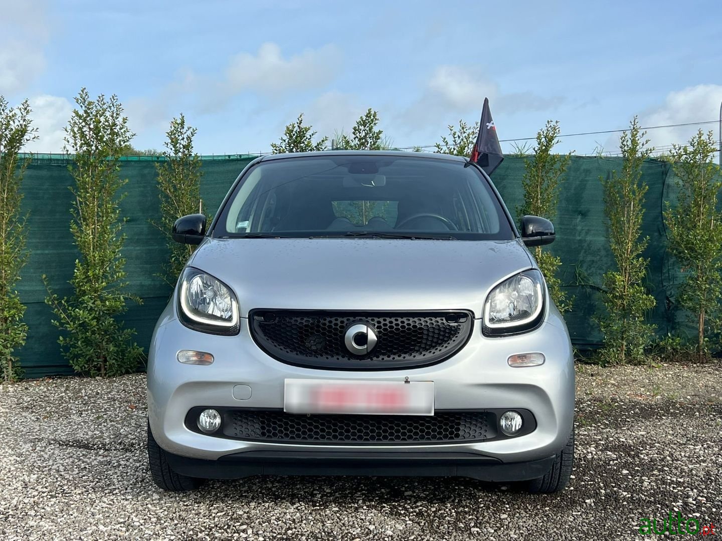 2016' Smart Forfour photo #2