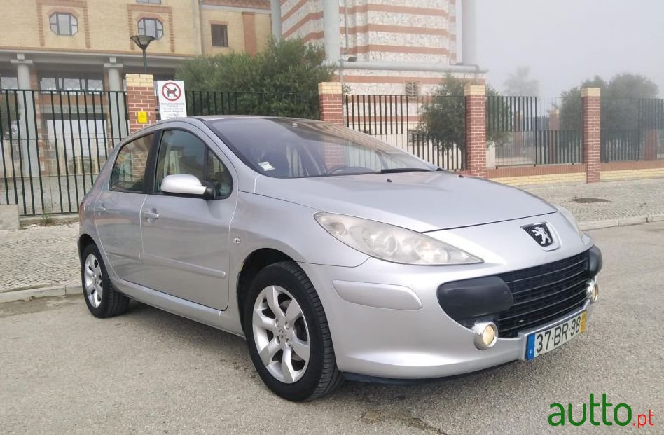 2006' Peugeot 307 Sport photo #3